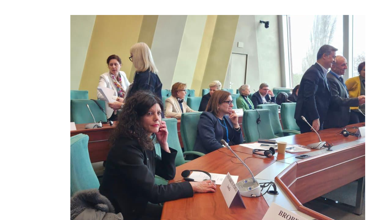 Josefina Navarrete refuerza la voz socialista de Castilla-La Mancha en el Consejo de Europa